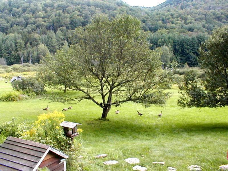 Mountain Valley Retreat คิลลิงตัน ภายนอก รูปภาพ